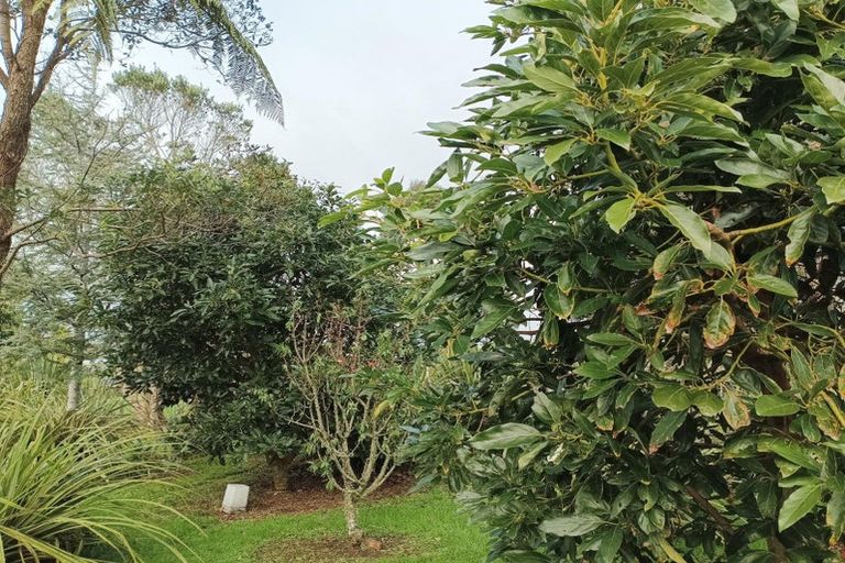 Photo of property in 23 Wharf Road, Albany, Auckland, 0632