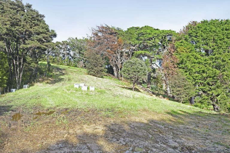 Photo of property in 99 Birdsall Road, Whangateau, 0985