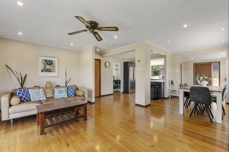 Photo of property in 38 Barry Avenue, Whakatane, 3120