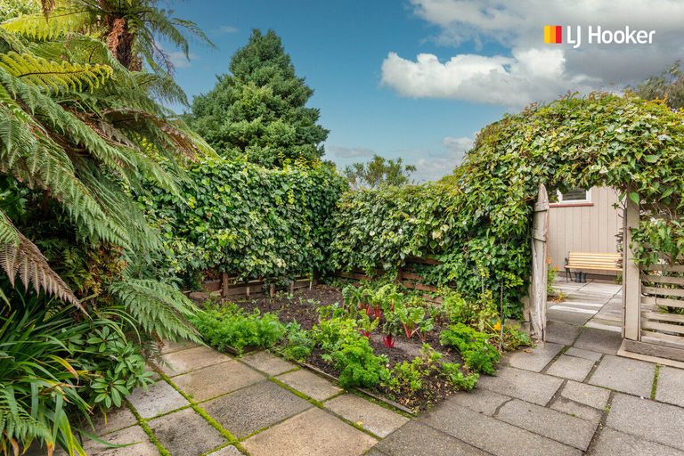 Photo of property in 117 London Street, Dunedin Central, Dunedin, 9016