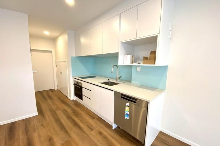 Photo of property in 49 Joshua Carder Drive, Hobsonville, Auckland, 0616