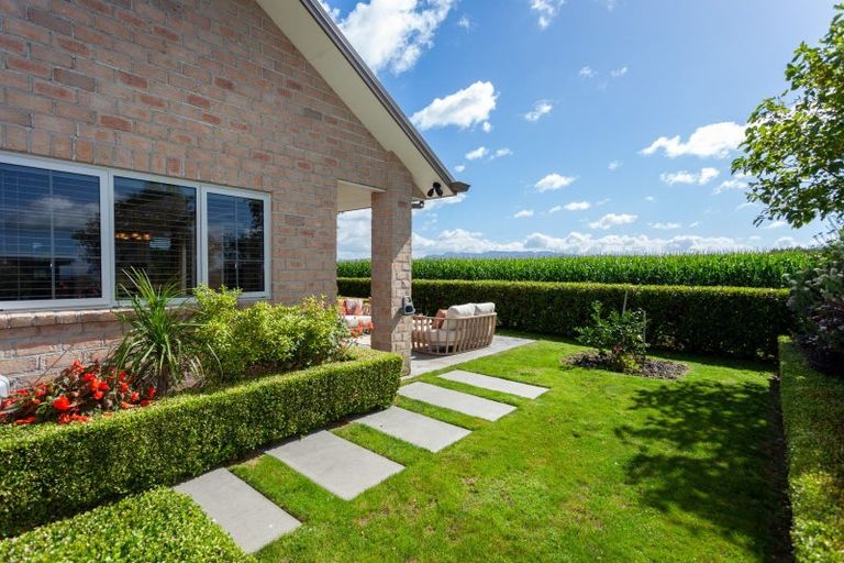 Photo of property in 10 Magnolia Drive, Matamata, 3400