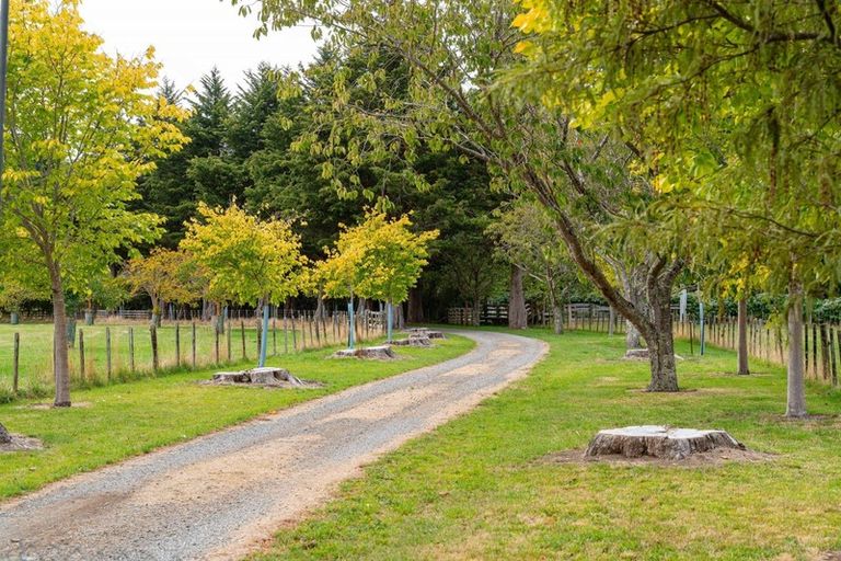 Photo of property in 565 Upper Plain Road, Upper Plain, Masterton, 5888