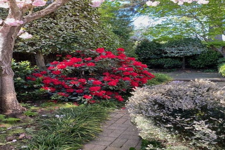 Photo of property in 131 Rossall Street, Merivale, Christchurch, 8014