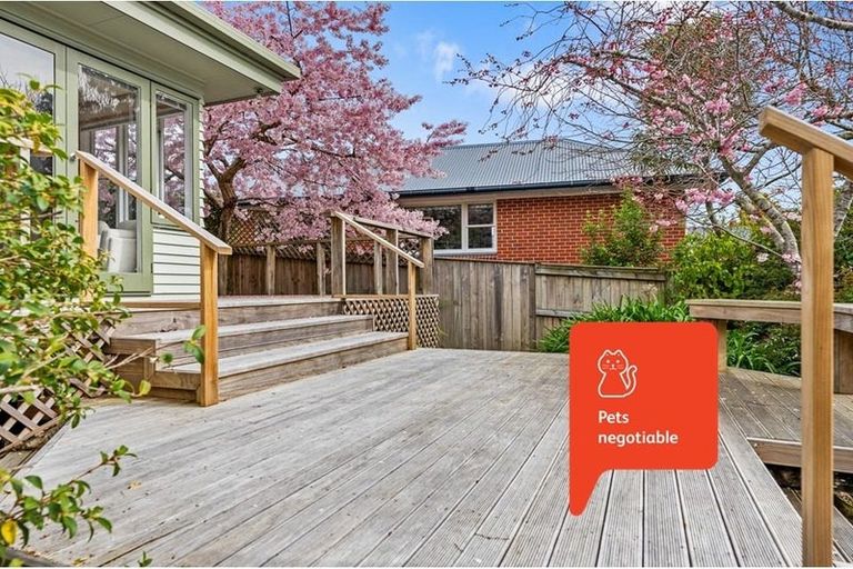 Photo of property in 42 Clifton Terrace, Fitzherbert, Palmerston North, 4410