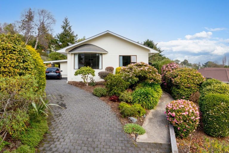 Photo of property in 162 Somerville Street, Waverley, Dunedin, 9013