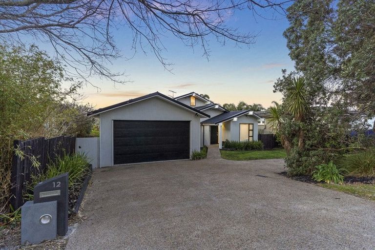 Photo of property in 12 Hyde Road, Rothesay Bay, Auckland, 0630