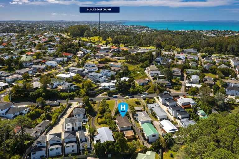 Photo of property in 17 Morton Avenue, Forrest Hill, Auckland, 0620