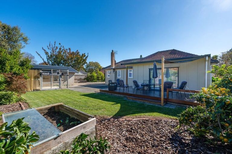 Photo of property in 64 Nixon Street, Hamilton East, Hamilton, 3216