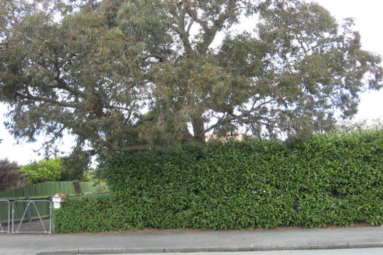 Photo of property in 81 Colombo Road, Masterton, 5810