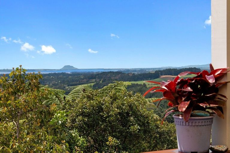 Photo of property in 417 Hot Springs Road, Tahawai, Katikati, 3178