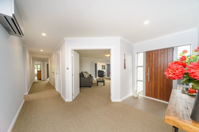 Photo of property in 19 Karina Terrace, Roslyn, Palmerston North, 4414