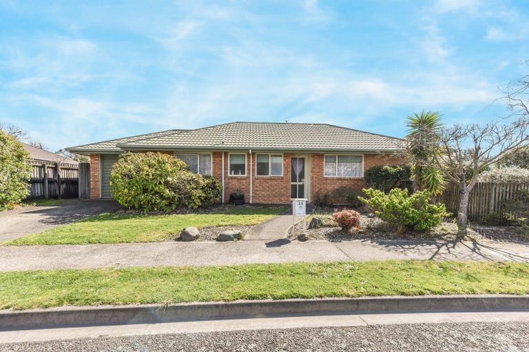 Photo of property in 55 Arbor-lea Avenue, Richmond, 7020