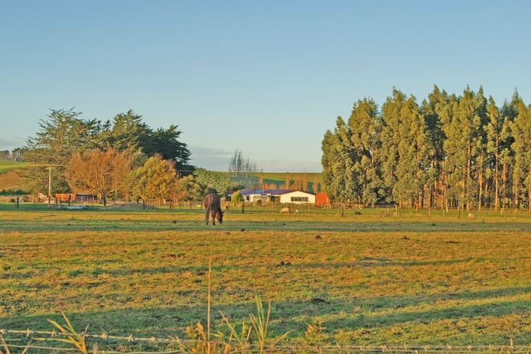 Photo of property in 161 Edinburgh Street, Waikouaiti, 9510