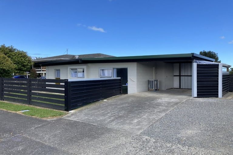 Photo of property in 119a Tiro Tiro Road, Levin, 5510