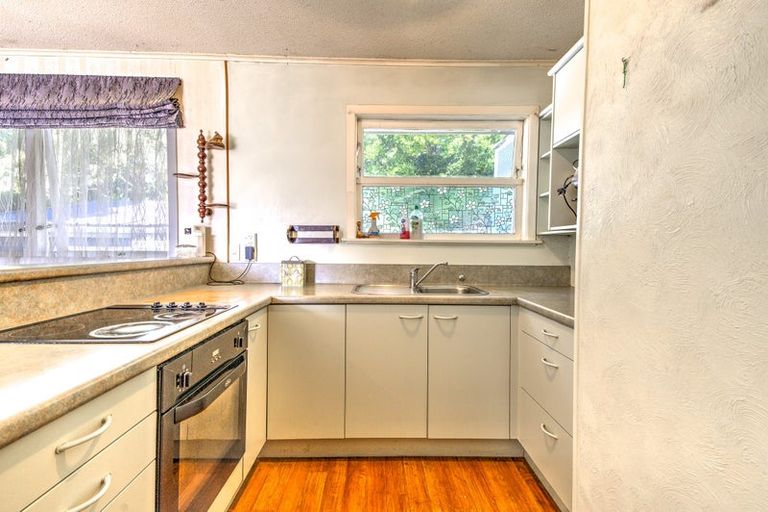 Photo of property in 105 Rimu Street, Maeroa, Hamilton, 3200