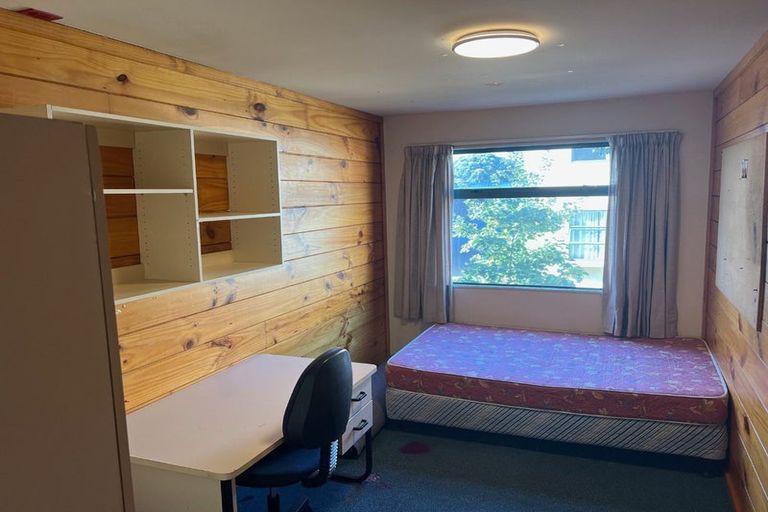 Photo of property in Te Awhina Apartments, 11/22u Sussex Street, Mount Cook, Wellington, 6021