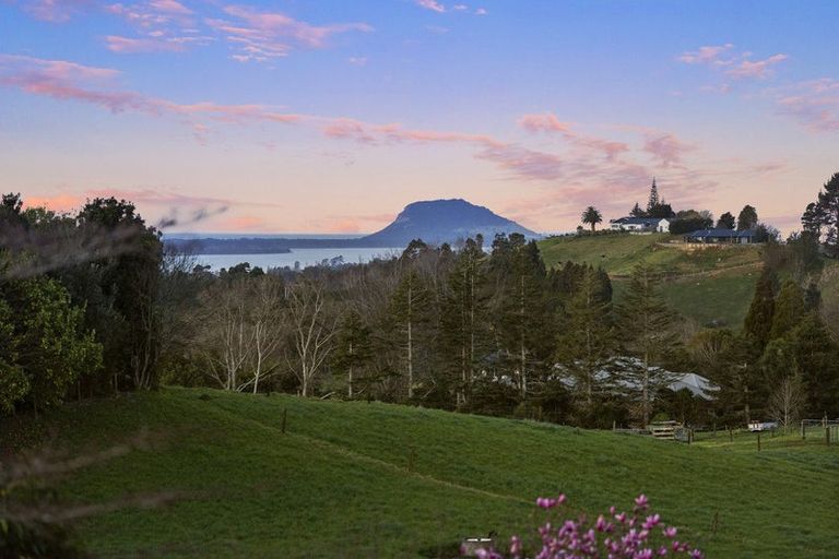 Photo of property in 535 Esdaile Road, Whakamarama, Tauranga, 3180