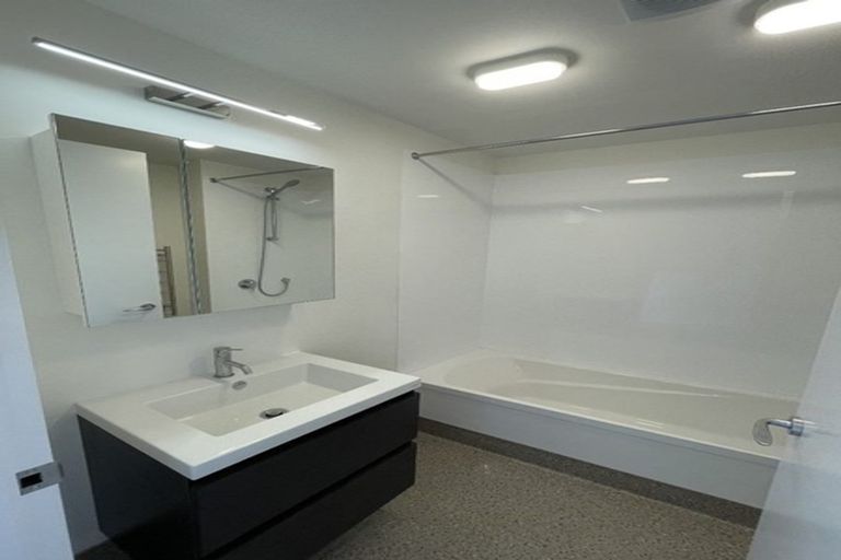 Photo of property in Aniva Terrace, 13 Arney Street, Newtown, Wellington, 6021