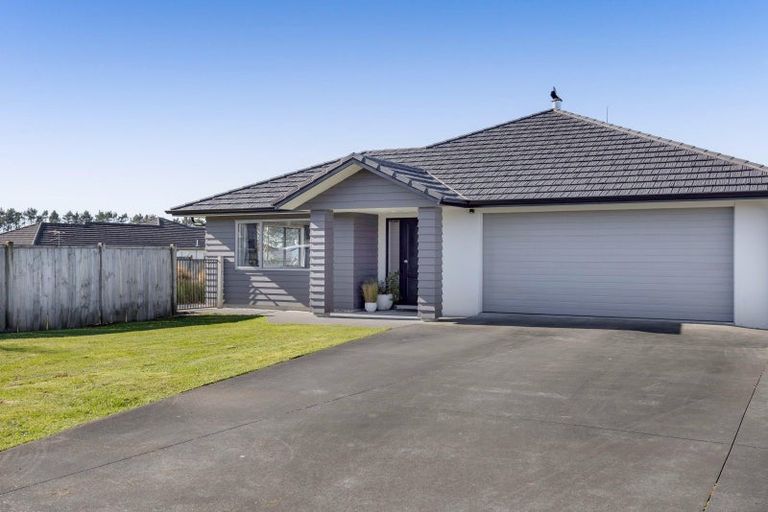 Photo of property in 4 Biron Place, Stratford, 4332