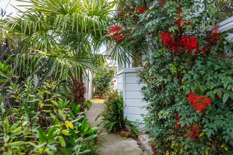 Photo of property in 41b Cole Street, Masterton, 5810