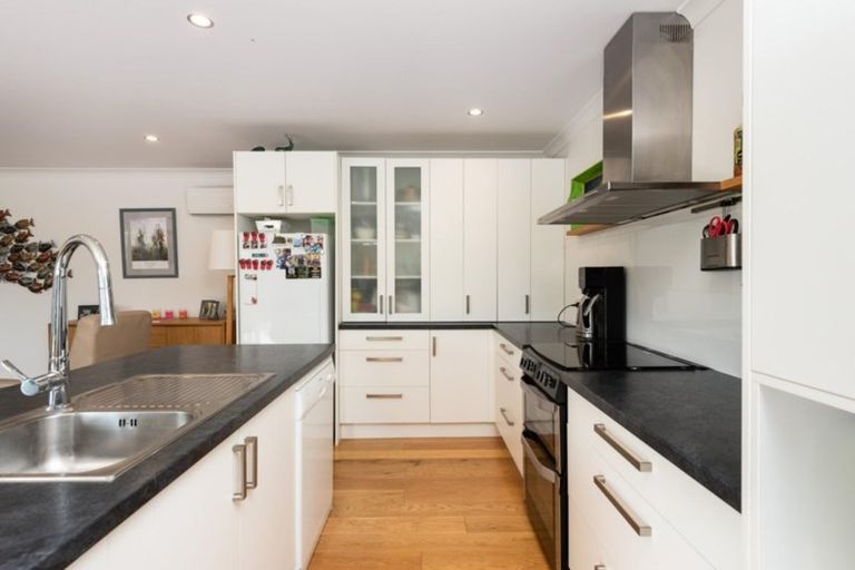 Photo of property in 16b Campbell Road, Mount Maunganui, 3116