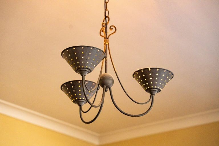 Photo of property in 43 Naylor Street, Hamilton East, Hamilton, 3216