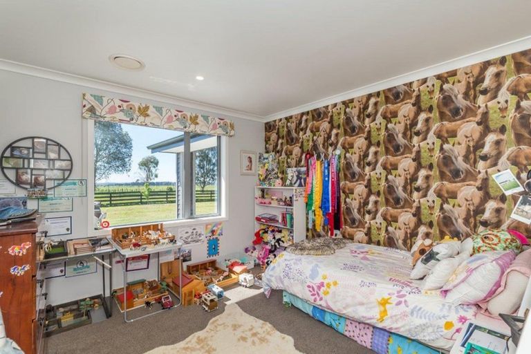 Photo of property in 441 Tararua Road, Levin, 5571