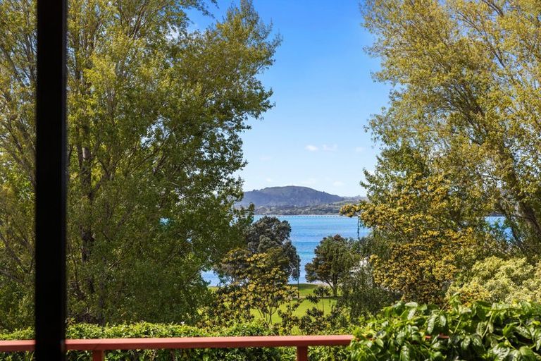 Photo of property in 3a Ninth Avenue, Tauranga, 3110