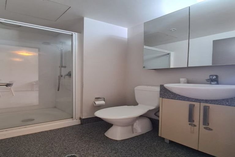 Photo of property in Dual Apartments, 308/142u Vivian Street, Te Aro, Wellington, 6011