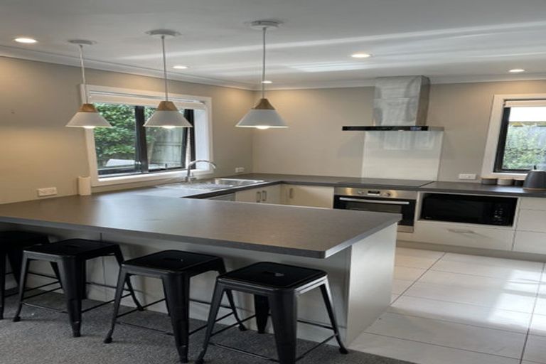 Photo of property in 77a Mcgregor Street, Milson, Palmerston North, 4414