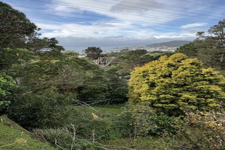 Photo of property in 43 Mortimer Terrace, Brooklyn, Wellington, 6021