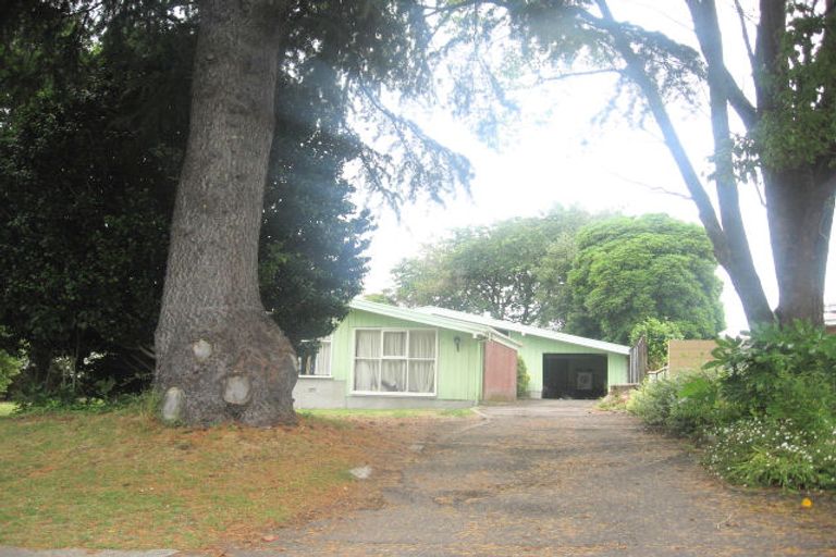 Photo of property in 180 Boucher Avenue, Te Puke, 3119