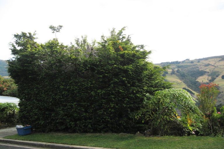 Photo of property in 213 Signal Hill Road, Opoho, Dunedin, 9010