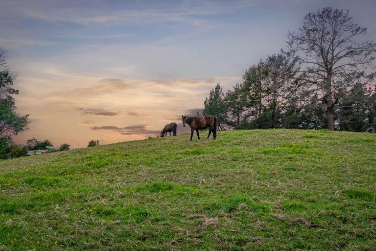 Photo of property in 321 Hepburn Creek Road, Warkworth, 0981