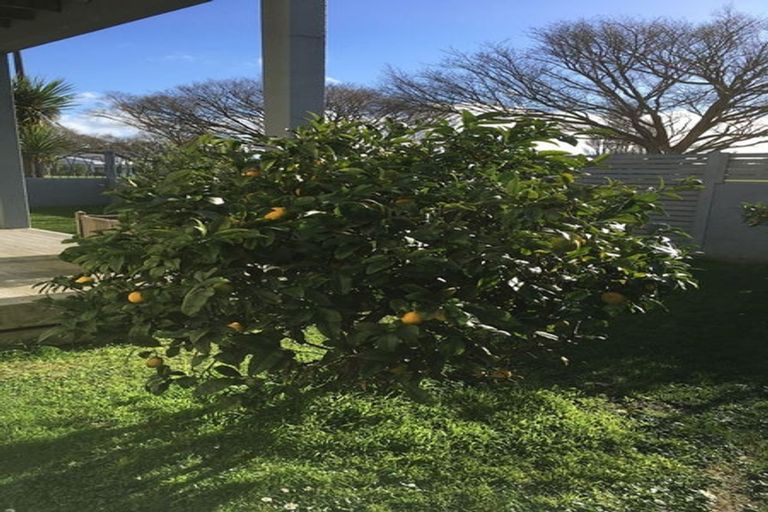 Photo of property in 16 Freyberg Street, Roslyn, Palmerston North, 4414