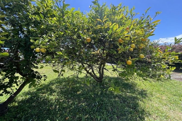 Photo of property in 6 Bartholomew Road, Levin, 5510