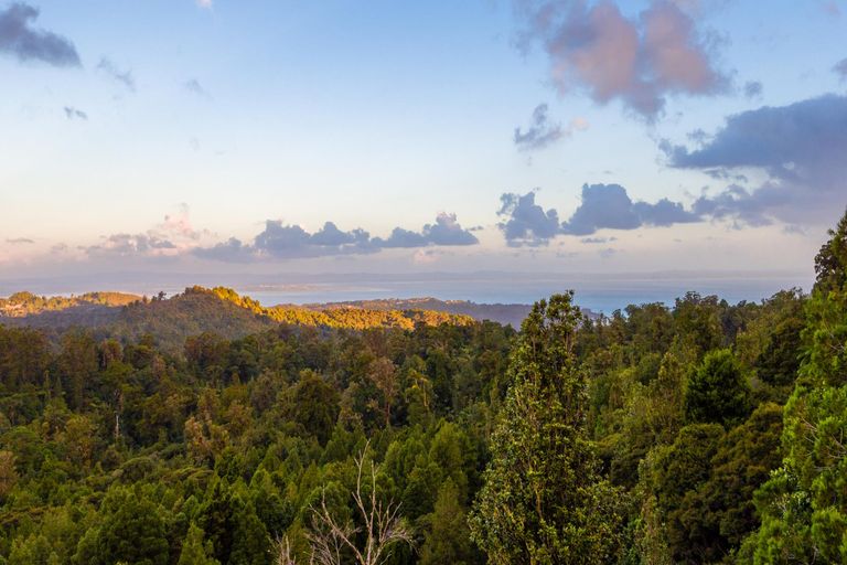 Photo of property in 410a Scenic Drive, Waiatarua, Auckland, 0612