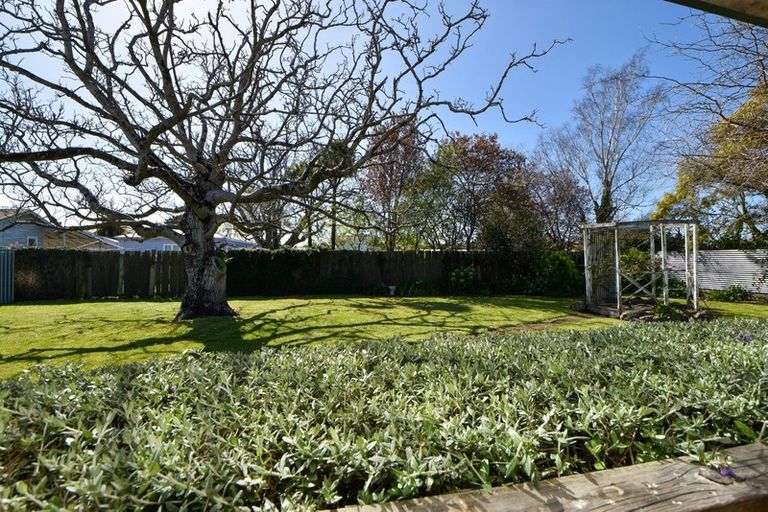 Photo of property in 17 Macara Street, Masterton, 5810