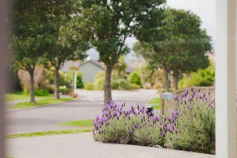 Photo of property in 10 Tamihana Street, Otaki, 5512