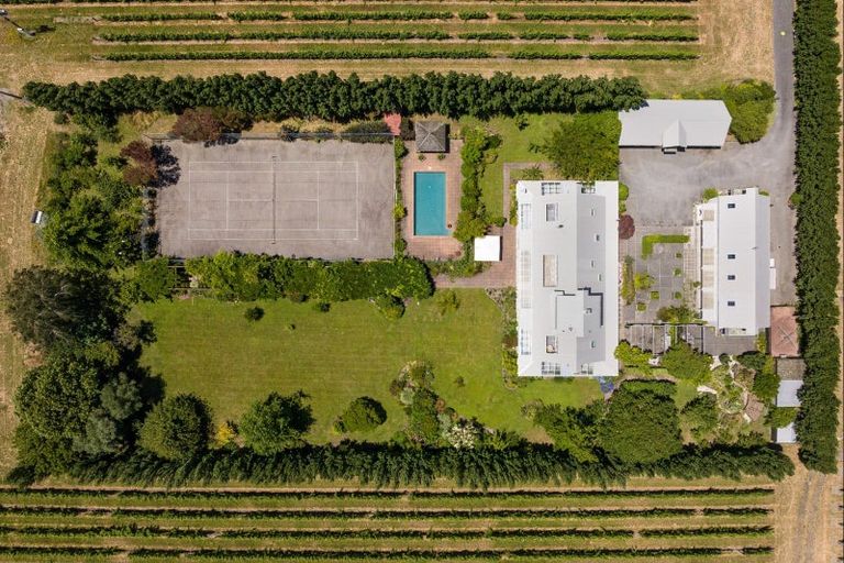 Photo of property in 101 Giffords Road, Rapaura, Blenheim, 7273