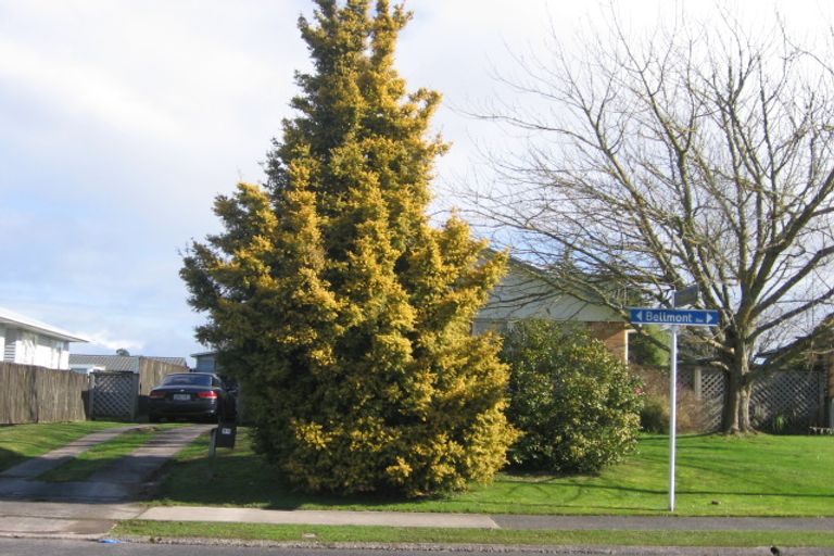 Photo of property in 11 Bellmont Avenue, Chartwell, Hamilton, 3210