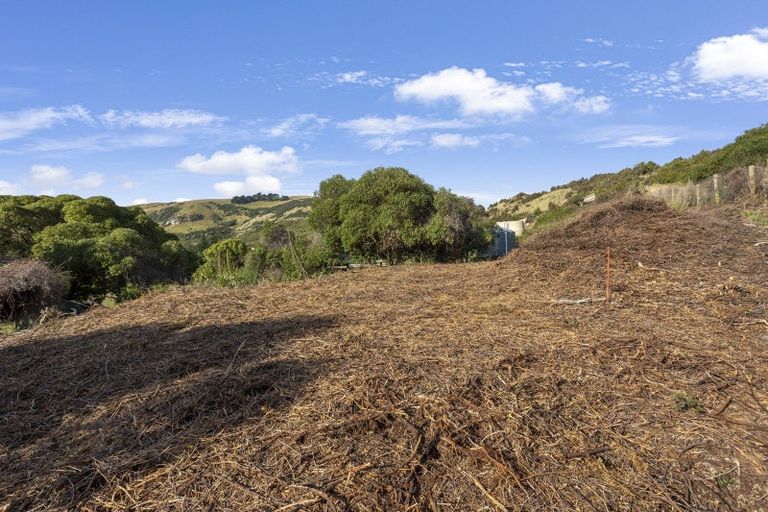 Photo of property in 930 Harington Point Road, Harington Point, Dunedin, 9077