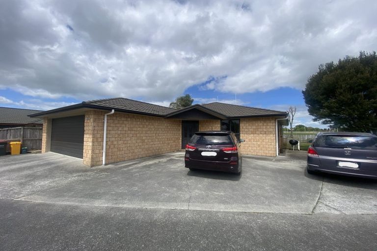 Photo of property in 17 Finchley Place, Hamilton East, Hamilton, 3216