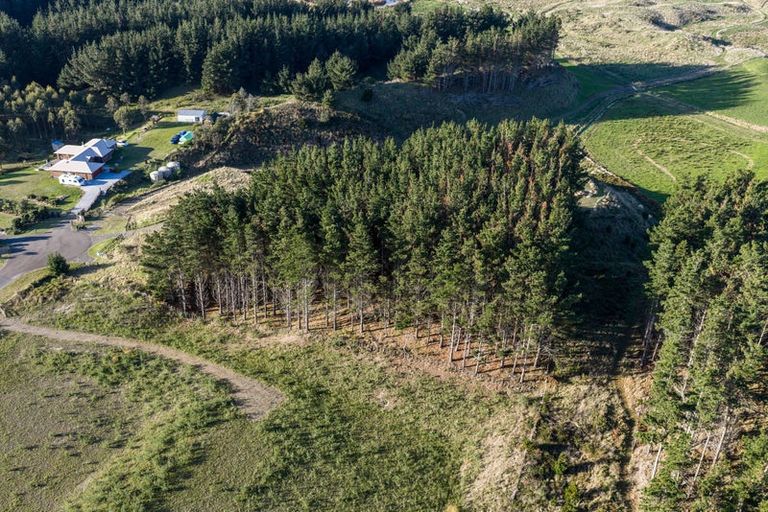 Photo of property in 16 Quail Way, Waitarere, Levin, 5510