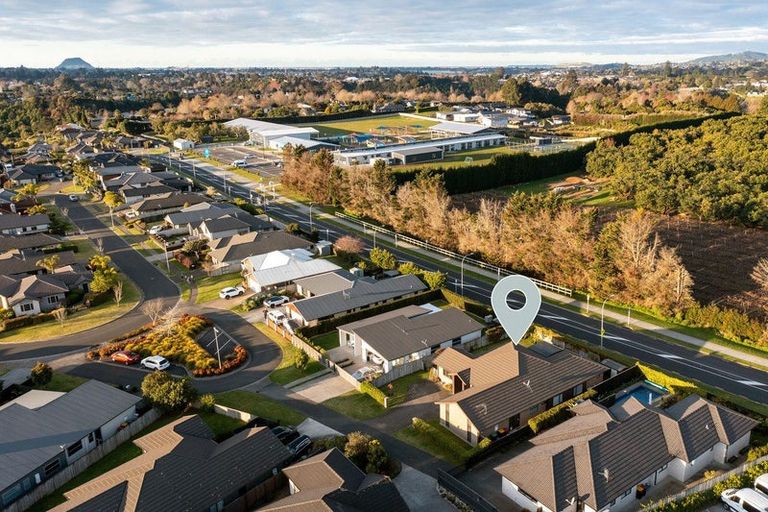 Photo of property in 55 Benmore Crescent, Pyes Pa, Tauranga, 3112