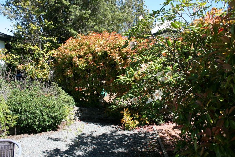 Photo of property in 29 Hopkins Road, Twizel, 7901