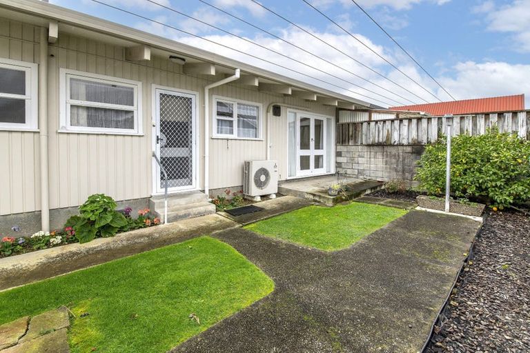 Photo of property in 556 Queen Street East, Levin, 5510