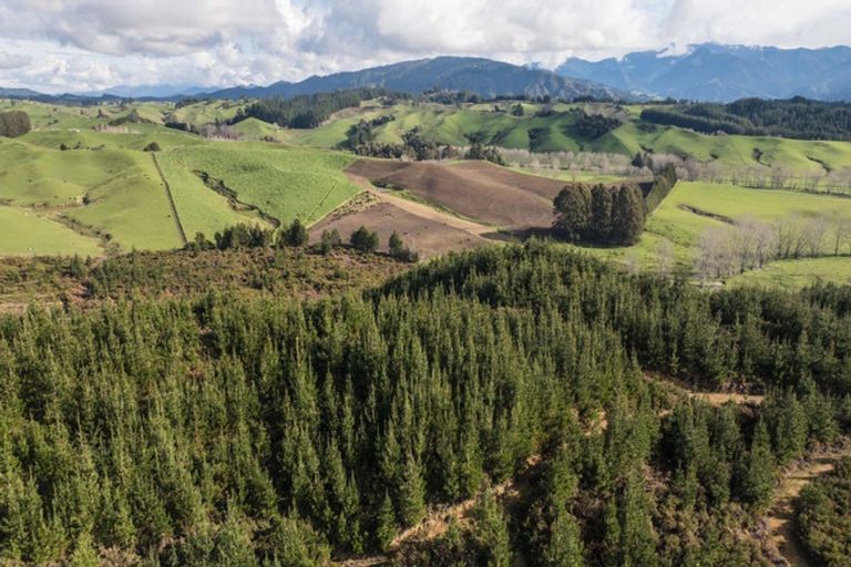 Photo of property in 441 Waiwhero Road, Ngatimoti, Upper Moutere, 7175