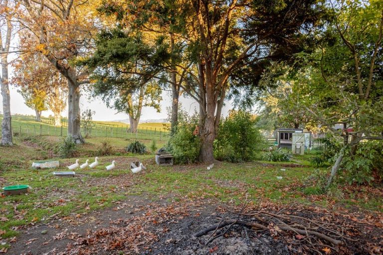 Photo of property in 180 Tipapakuku Road, Dannevirke, 4930